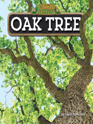 cover image of Oak Tree